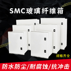 SMC 유리 섬유 강화 플라스틱 봉입 박스 IP65 과중한 업무