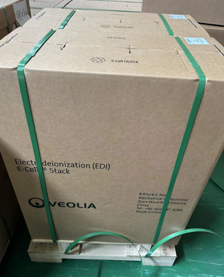 흐름 5.0 M3/H Veolia Suez EDI 모듈 E-Cell-3X Suez 초순수 공급용