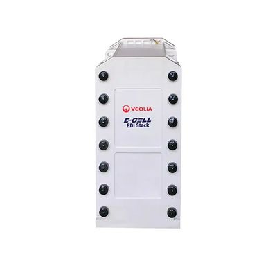 Veolia MK-3PharmHT EDI 모듈 3.4 m3/h (제약용수)