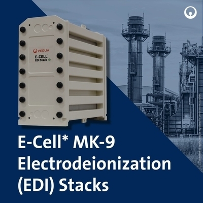 Veolia MK-9 EDI 스택 35 GPM 초순수 태양광 PV용