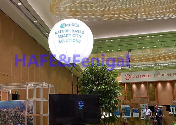 Pearl Series LED Moon Balloon Light: A Must-Have for Event Decoration and Advertising Lighting